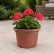 MITHOS TERRA Virágcserép 2L 18 cm terrakotta műanyag