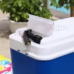 24 L-es elektromos hűtőtáska kék színben
