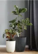 Lamela Mira Eco virágtartó ø25 cm