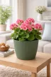 Virágcserép MAGNOLIA  ECO JUMPER 30 cm
