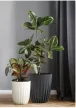 Lamela Mira Eco virágtartó 30 cm