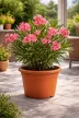 MITHOS TERRA virágcserép 45 cm 31 L