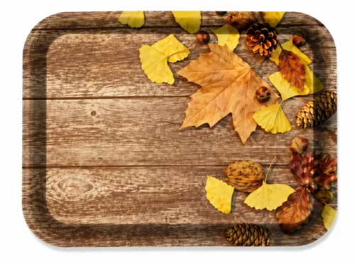 Tálca nagy őszi leveles 38,4x28,5x2 cm