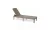 CURVER KETER Jaipur kerti nyugágy napozóágy cappuccino műanyag rattan hatású 187x58x29 cm