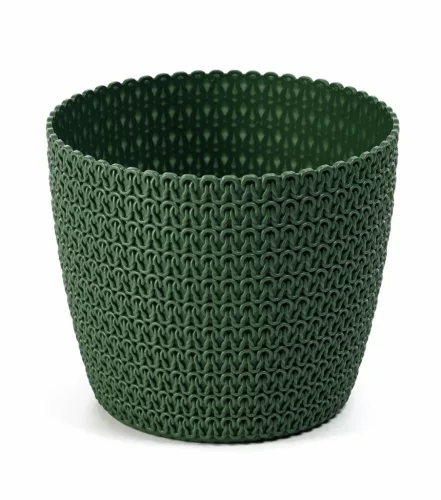MANGOLIA JERSEY Cserép 26 cm