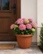Cserép 50 cm-es terrakotta 38 L 50x37,5 cm műanyag