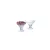 Arc PALMIER TRANS talpas kehely 21 cl