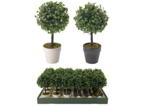 MŰNÖVÉNY CSEREPES 23CM 2F.