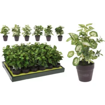 MŰNÖVÉNY CSEREPES 20CM 6F.
