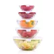 ÜVEGTÁL SZETT 10DB TETŐVEL 130/220/330/450/900ML 1.035KG ALPINA