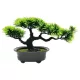 BONSAI FA 15X13X19CM