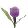 LED-es szolár tulipánlámpa