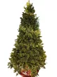 KHNT-5 Műfenyő 150 cm 